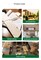 12 Pack Balsa Wood Sheets 1/16 x 4 x 8 Inch Natural Wood Color Unfinished Wood for Crafts Make Models of House Airplane Ship Boat DIY Wooden Plate Model (200x100x1.5mm)